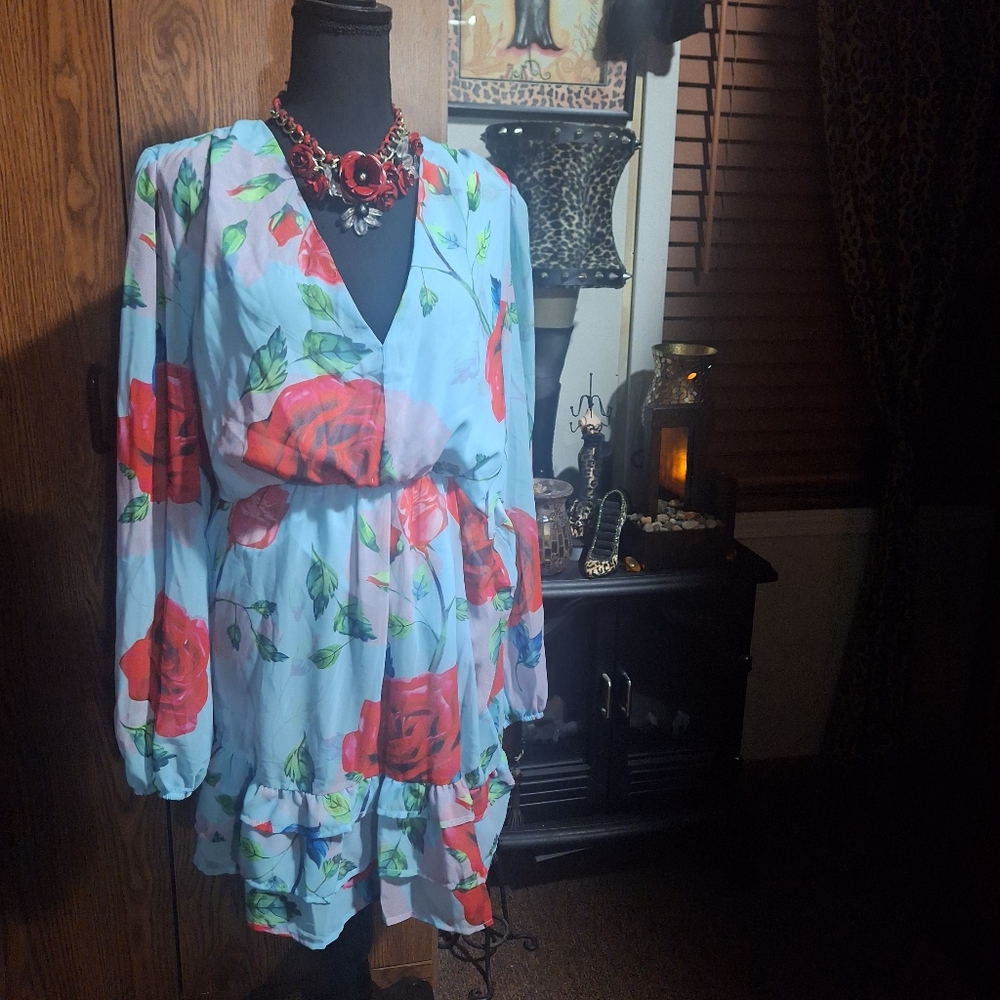 Floral Dress with Red Roses - Picture 3 of 7
